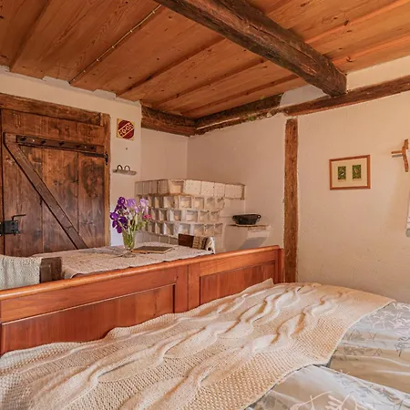 Tiny House For Two - Happy Dragatus